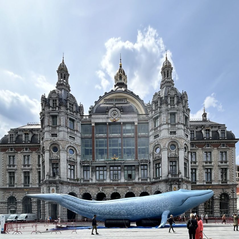 De oplaasbare blauwe vinvis 'Star' van WhaleGuardians voor het Antwerpse Centraal Station