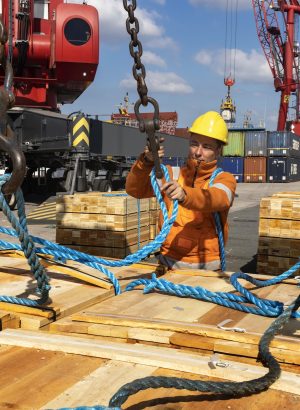 Overslag van hout bij North Sea Port